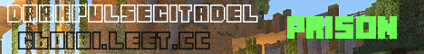 Banner for DarkPulseCitadel Minecraft server
