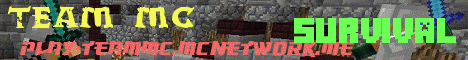 Banner for Team MC Minecraft server
