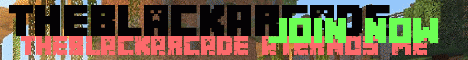 Banner for TheBlackArcade Minecraft server