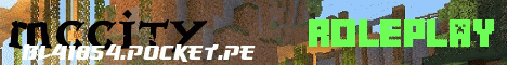 Banner for McCity Minecraft server