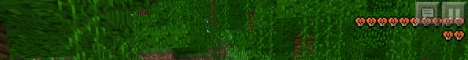 Banner for Fancy Craft Minecraft server