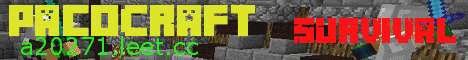 Banner for PacoCraft Minecraft server
