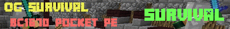 Banner for OG Survival Minecraft server
