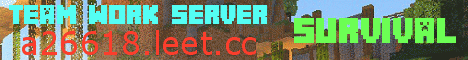 Banner for Team Work Server Minecraft server