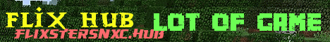 Banner for Flix Hub Minecraft server