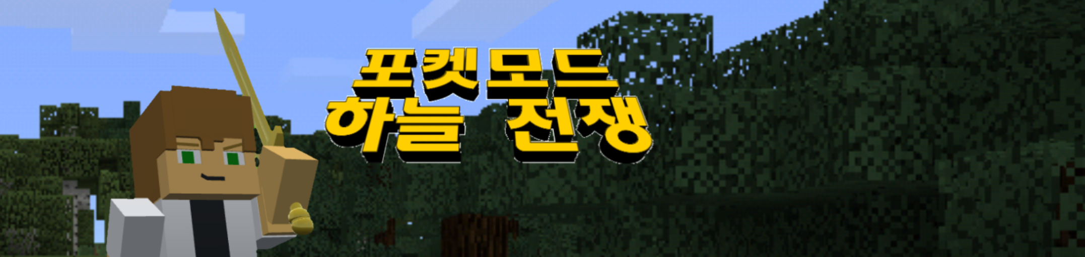 Banner for Sky Wars Minecraft server