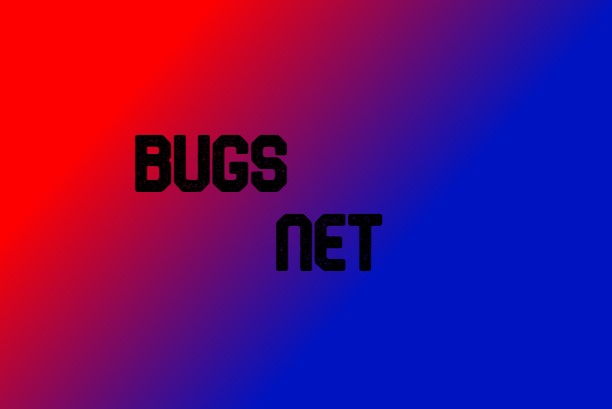 Banner for Bugs Net Minecraft server