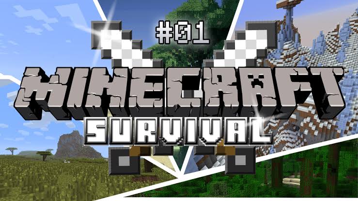 Banner for The survival Smp Minecraft server