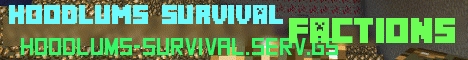 Banner for Hoodlum's Survival server