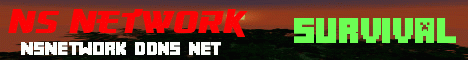 Banner for NS Network Minecraft server