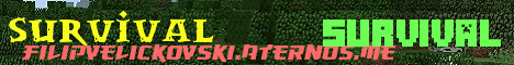 Banner for Survival Minecraft server