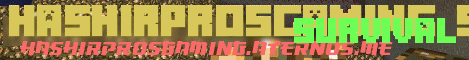 Banner for hashirprosgaming smp Minecraft server