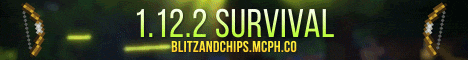 Banner for BlitzandChips - 1.12.2 Survival Minecraft server