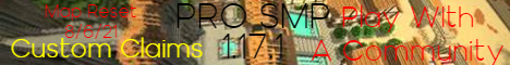 Banner for Pro SMP server
