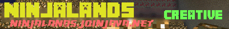 Banner for NinjaLands Minecraft server