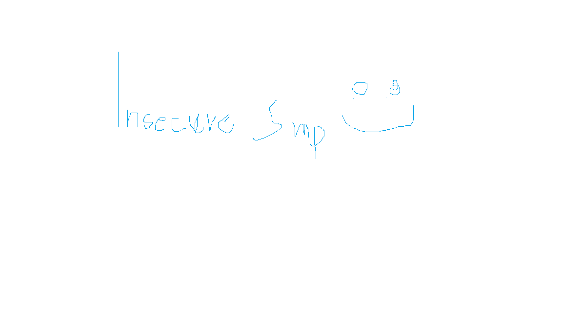 Banner for Insecure SMP Minecraft server