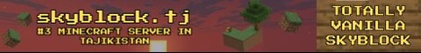 Banner for skyblock.tj server