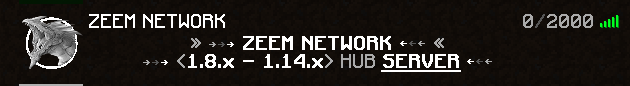 Banner for ZEEM NETWORK Minecraft server