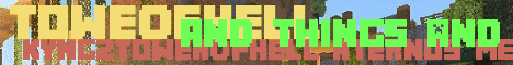 Banner for ToweOfHell Minecraft server