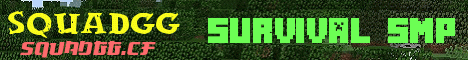 Banner for SquadGG Minecraft server
