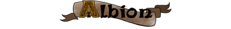 Banner for AlbionMC Minecraft server