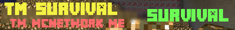 Banner for Teammeltdown Survival Minecraft server