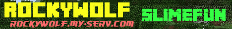 Banner for (+*RockyWolf*+) Minecraft server
