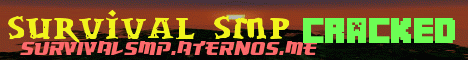 Banner for survival smp Minecraft server