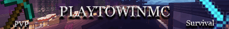 Banner for PlaytowinMC Minecraft server
