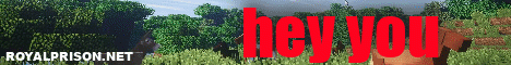 Banner for RoyalPrison Minecraft server