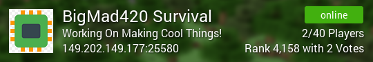 Banner for BigMad420 Survival server