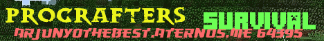 Banner for procrafters (cracked) Minecraft server