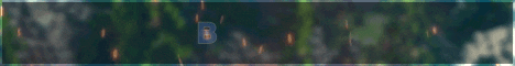 Banner for BlueFox server