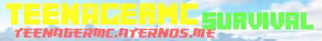 Banner for TeenagerMc server