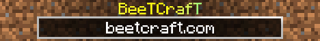 Banner for BeeTCrafT Minecraft server
