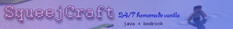 Banner for SqueejCraft server