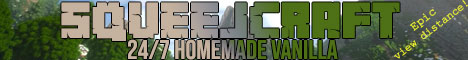 Banner for SqueejCraft Minecraft server