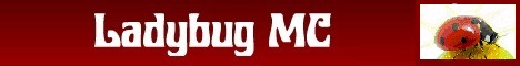 Banner for Ladybug MC Network Minecraft server