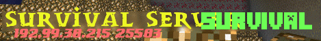 Banner for Survival Server Minecraft server