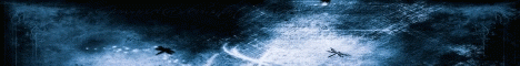 Banner for DragonflyMC Minecraft server