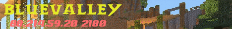 Banner for BlueValley Skylbock server