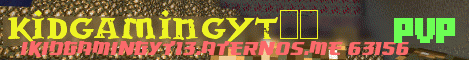 Banner for kidgamingyt13 Minecraft server
