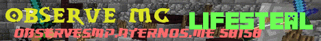 Banner for Observe MC server