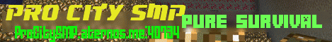 Banner for Pro Cty SMP server