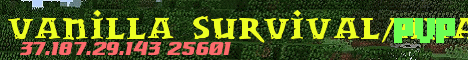 Banner for anarchy-survival Minecraft server