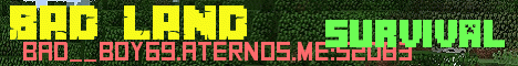 Banner for BAD LAND Minecraft server