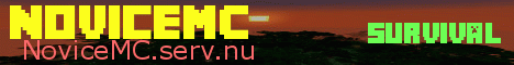 Banner for NoviceMC server