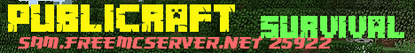 Banner for PubliCraft Minecraft server