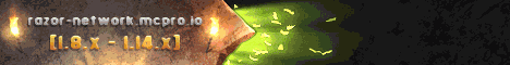 Banner for Razor-Network server