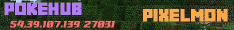 Banner for Pokehub Minecraft server